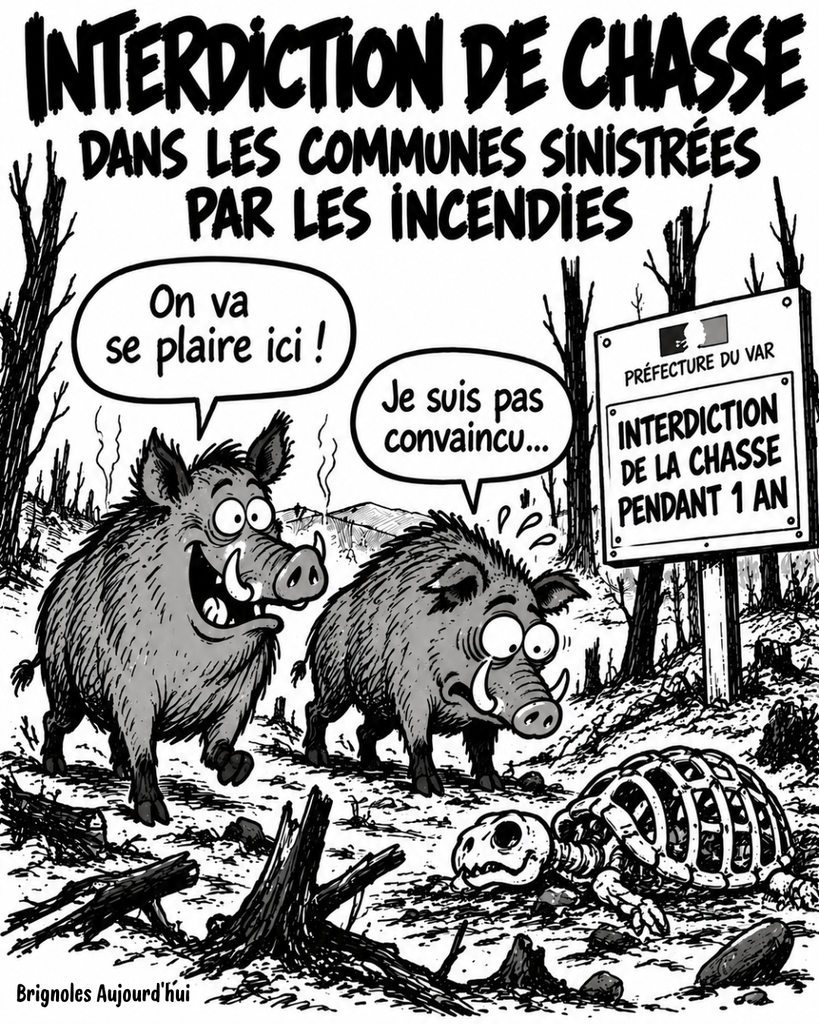 Dans les communes sinistrées par les incendies