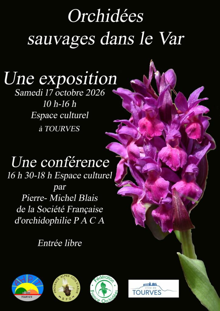 Orchidées sauvages dans le Var — exposition et conférence